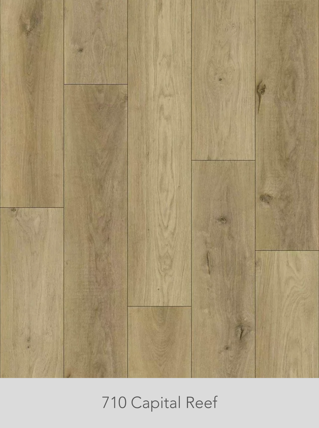 Product gallery 9